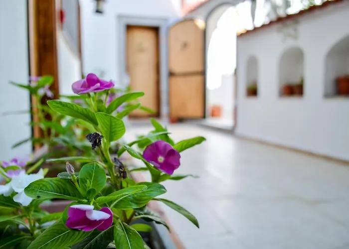 酒店 普特布提奥特酒店 博德鲁姆