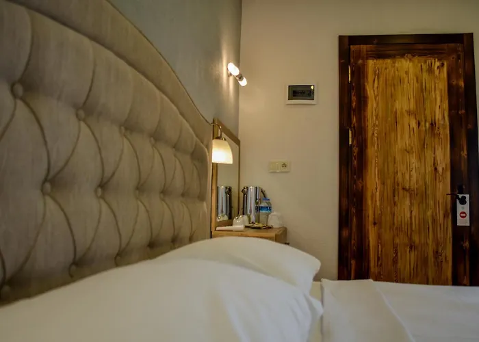 普特布提奥特酒店 2*