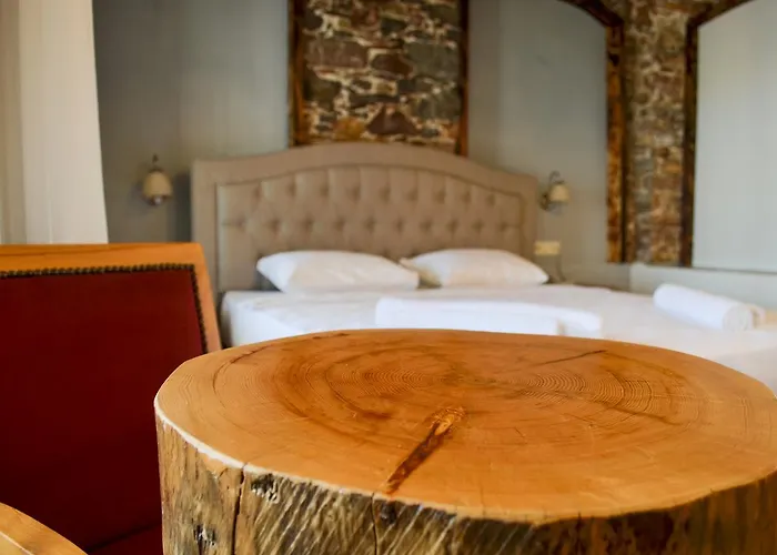 普特布提奥特酒店 酒店 2*