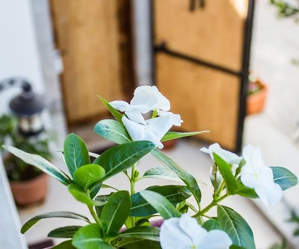 酒店 普特布提奥特酒店